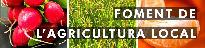 Agricultura.jpg (1)